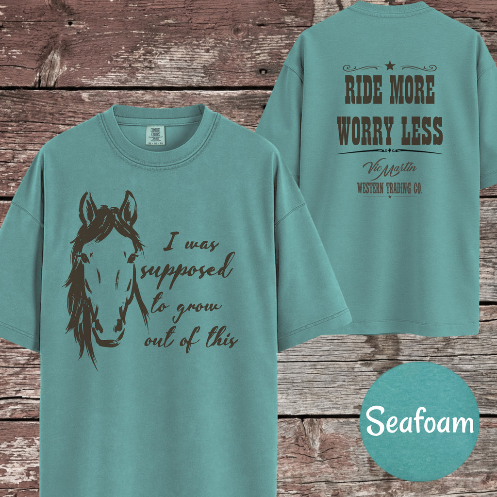 Apparently It Wasn't Just a Phase T-Shirt for Horse Lover