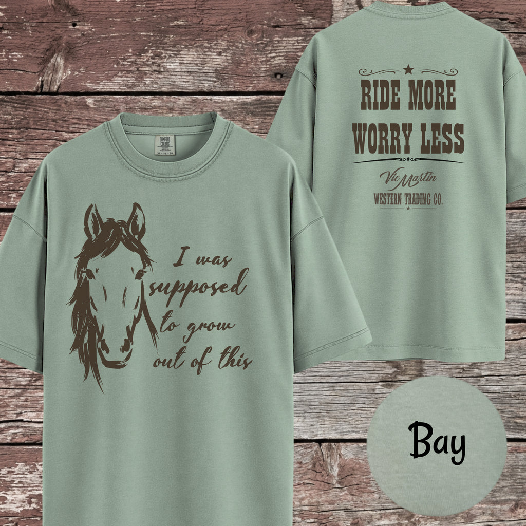 Apparently It Wasn't Just a Phase T-Shirt for Horse Lover