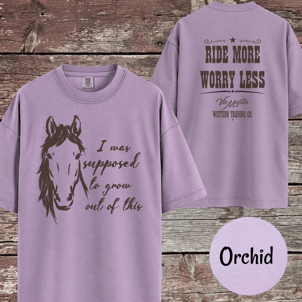 Apparently It Wasn't Just a Phase T-Shirt for Horse Lover